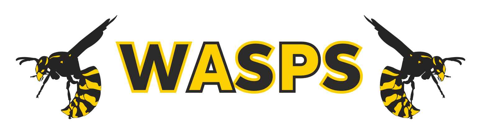 wasps